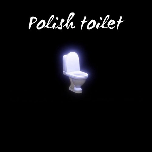 Polish Toilet