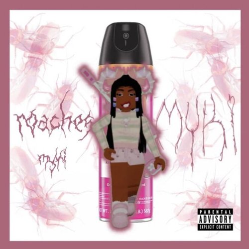 roaches