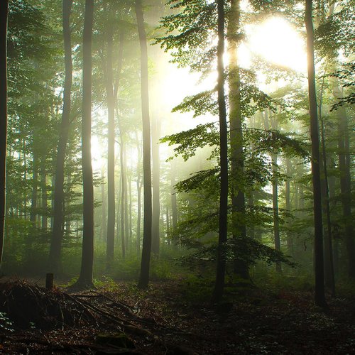 midnight sun... by #twilight