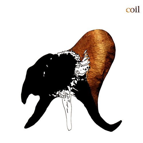 The Wraiths and Strays of Paris