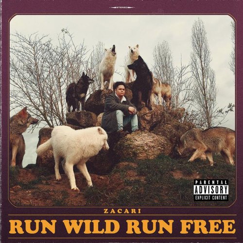 Run Wild Run Free