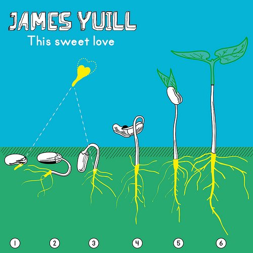 This Sweet Love