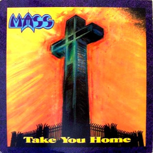 Take You Home