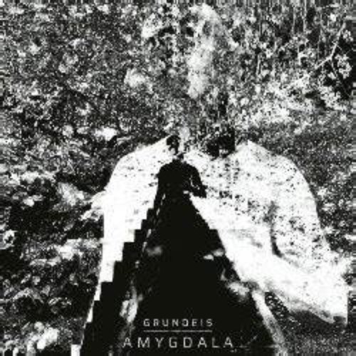 Bleed - Single