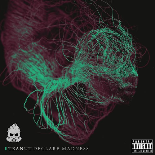 Declare Madness