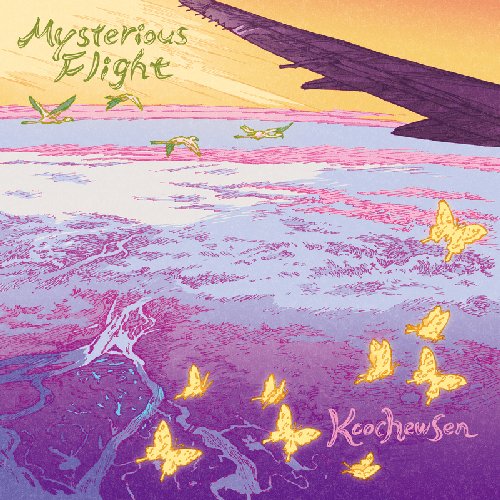 Mysterious Flight