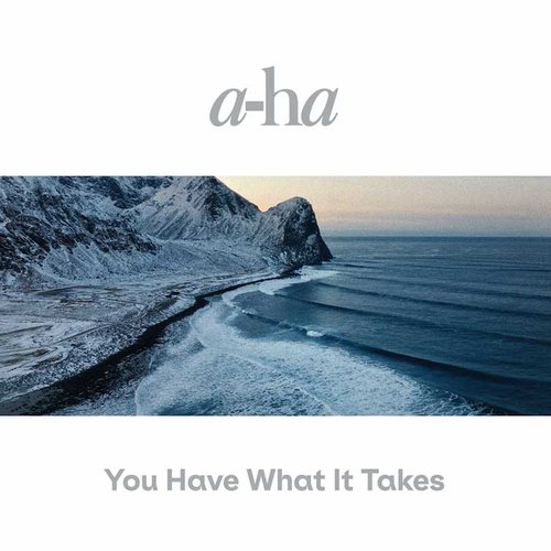 You Have What It Takes - Single
