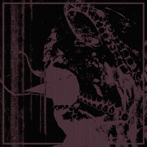 Rot Prophet