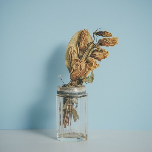 Comfortable - Single