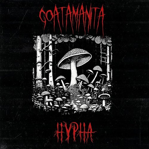Hypha