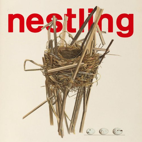 nestling - Single