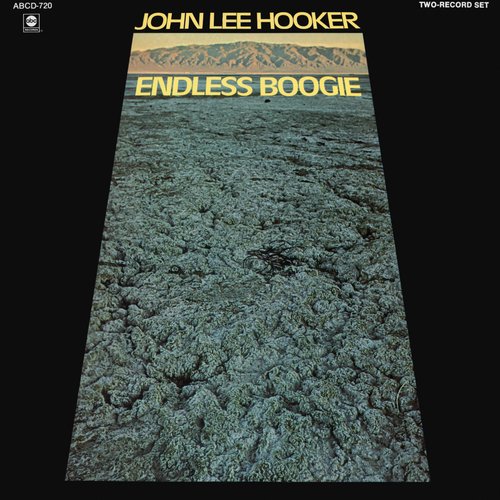 Endless Boogie