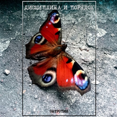 Энтропия