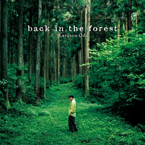 back in the forest