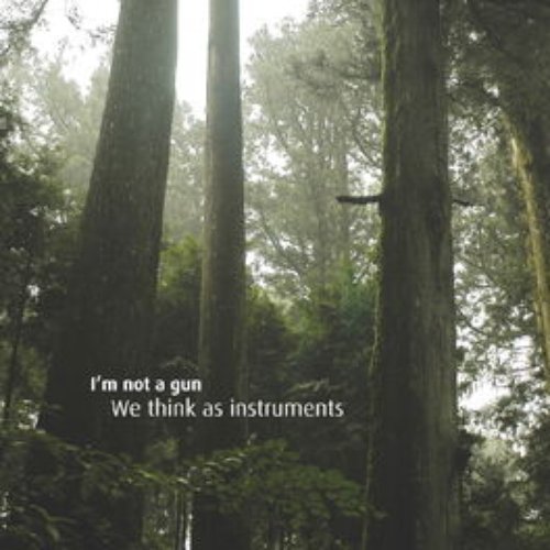 We Think as Instruments