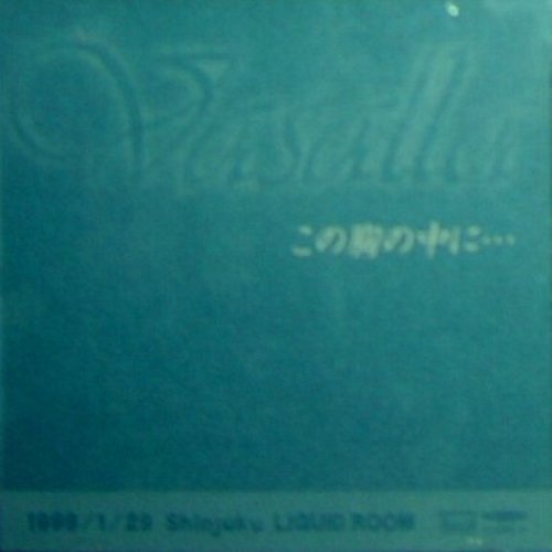 この胸の中に…