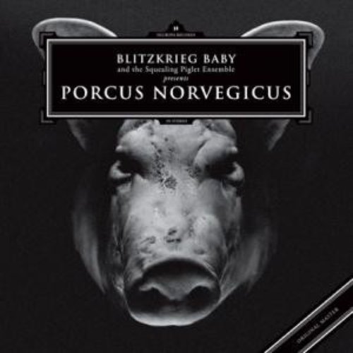 Porcus Norvegicus