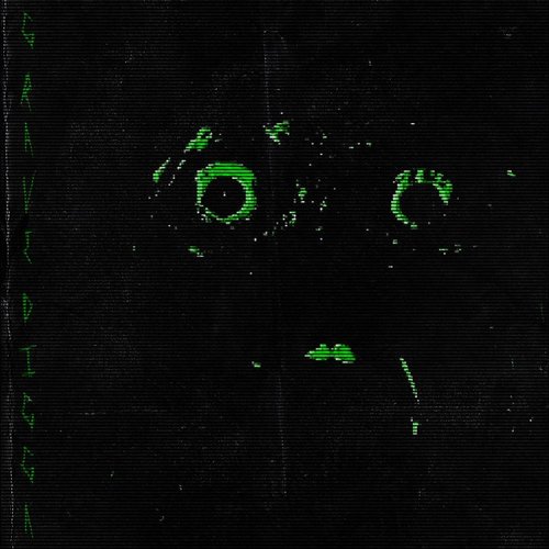 GRAVEDIGGA