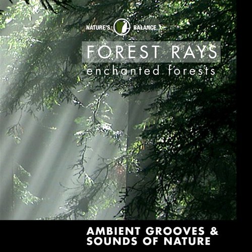 Forest Rays: Ambient Grooves & Sounds Of Nature