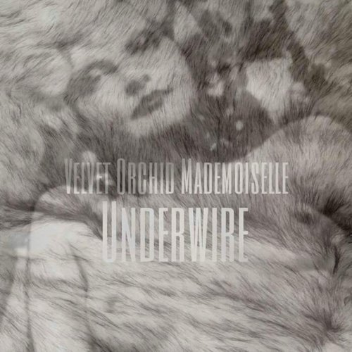 Underwire