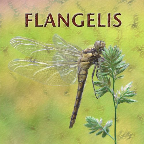 Flangelis
