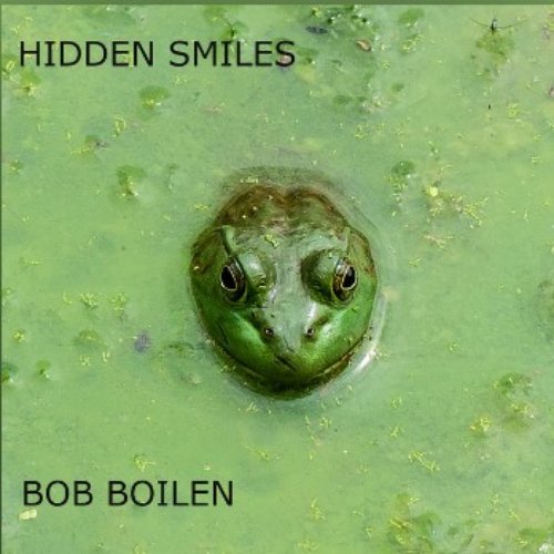 Hidden Smiles