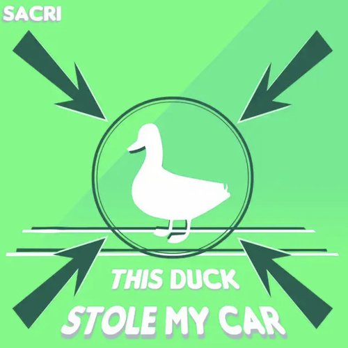 This Duck Stole My Car