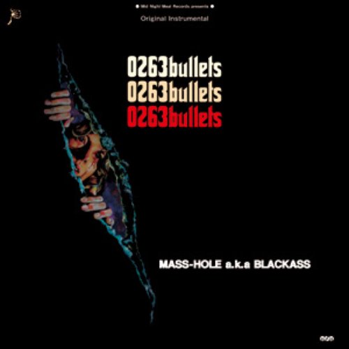 0263bullets