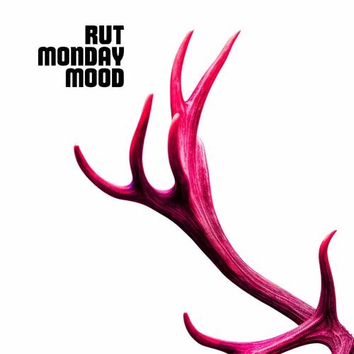 Rut Monday Mood - Single