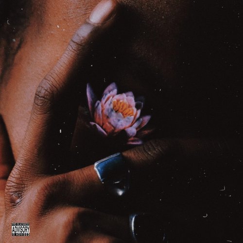 Lotus - Single