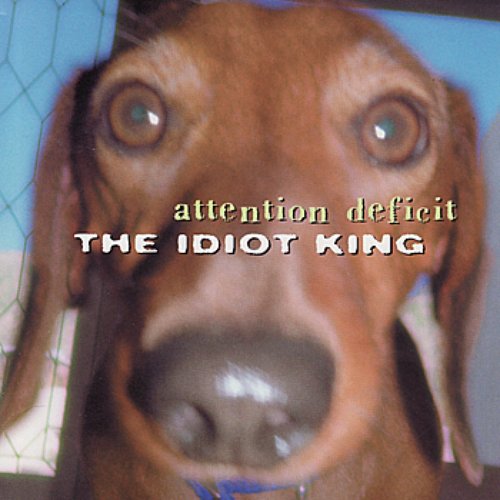 Idiot King