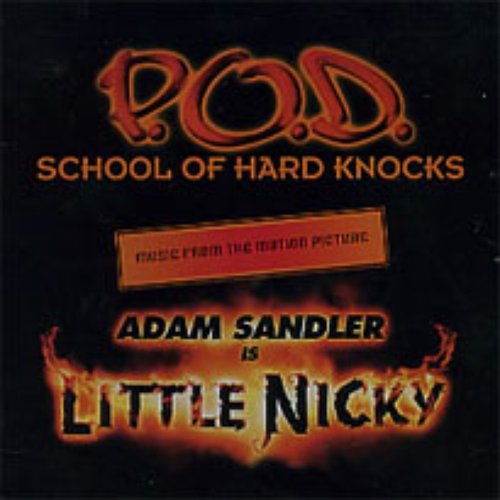 Rockin Knockers