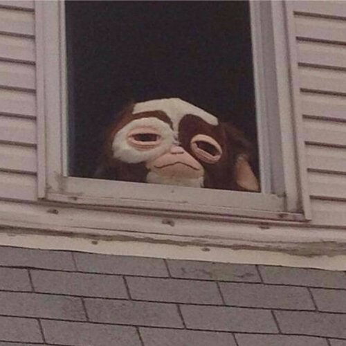 A Collection of Songs Written by a Schizophrenic Man As He Descends Into Total Loss