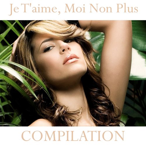 Je t'aime, moi non plus compilation