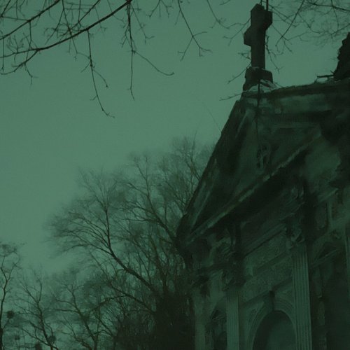 Gloomy forest