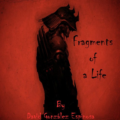Fragments of a life
