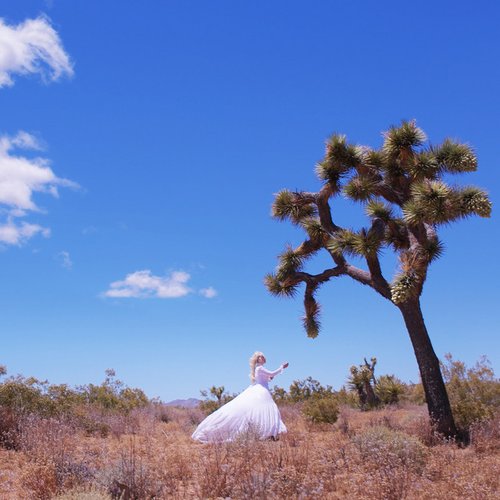 Joshua Tree
