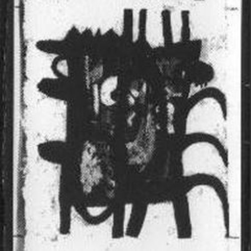 Insect