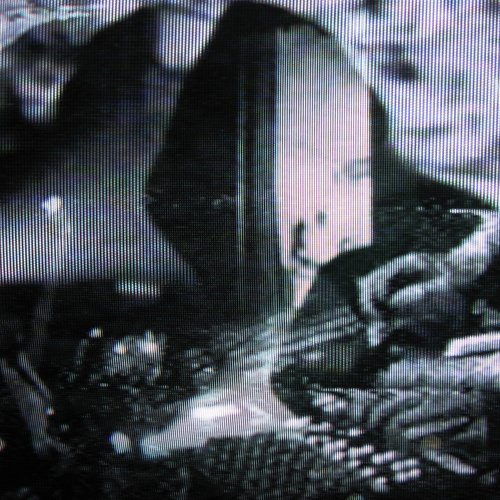Cadlag Live Tape