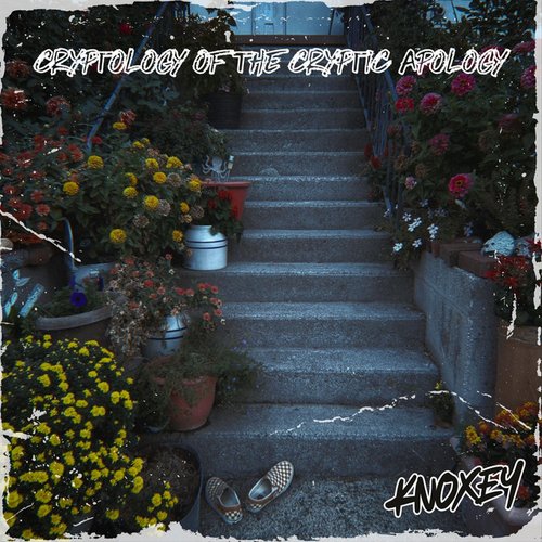 Cryptology of the Cryptic Apology