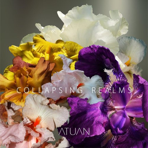 Collapsing Realms