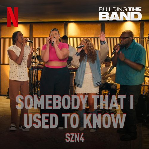 Somebody That I Used to Know - Single