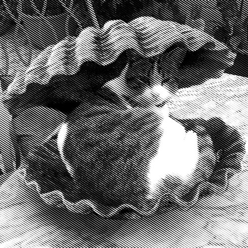Purr