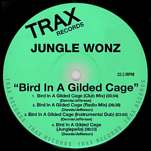 Bird In A Gilded Cage