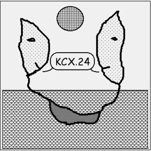 KCX.24