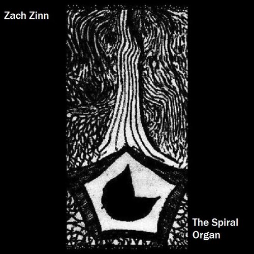 The Spiral Organ