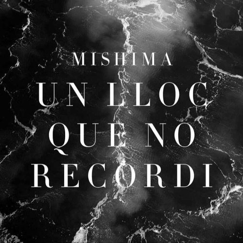 Un Lloc Que No Recordi - Single