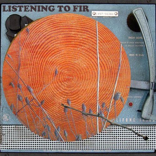 Fir