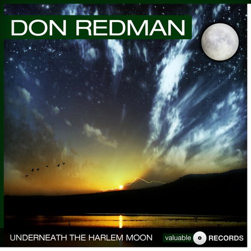 Underneath the Harlem Moon