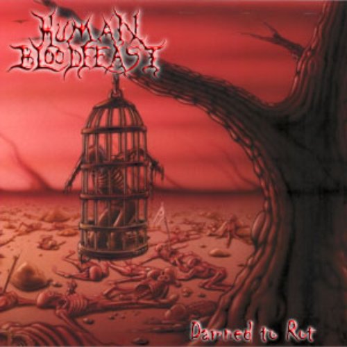 Damned To Rot